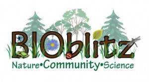 BioBlitz-logo