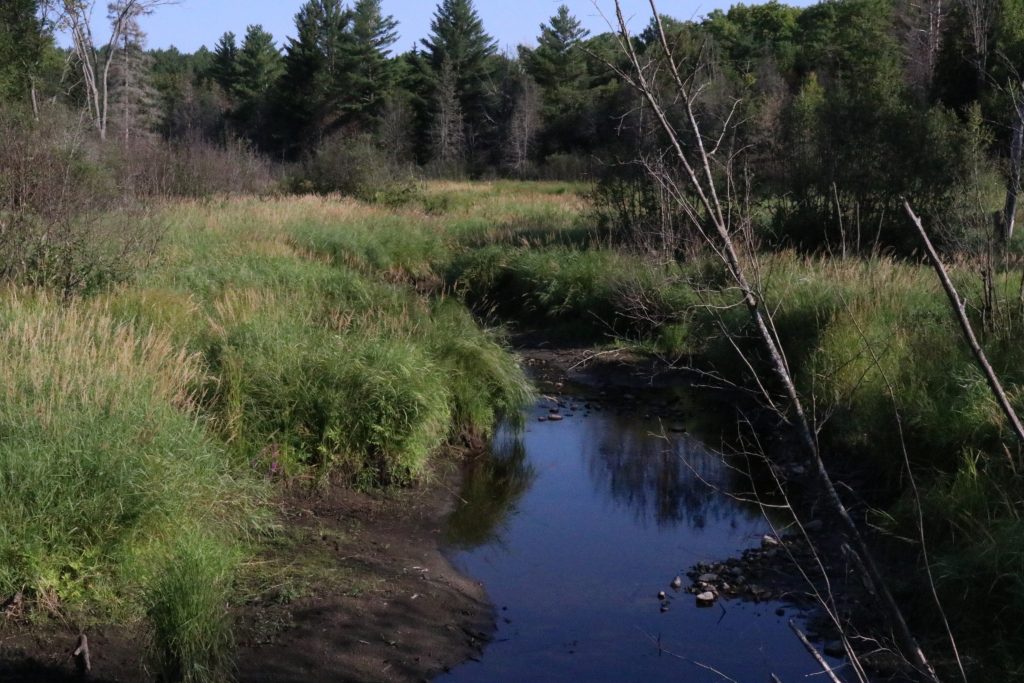 Media Release Easton’s Creek Brook Trout Habitat Enhancement