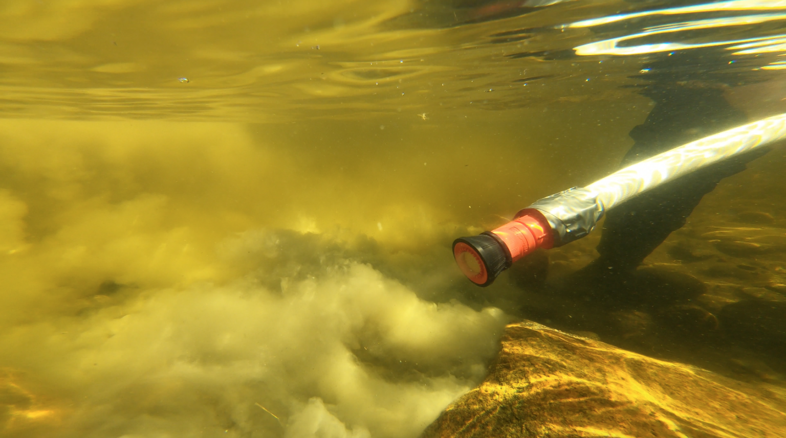 Trout Spawning Beds Watersheds Canada Work, Live & Play in Healthy