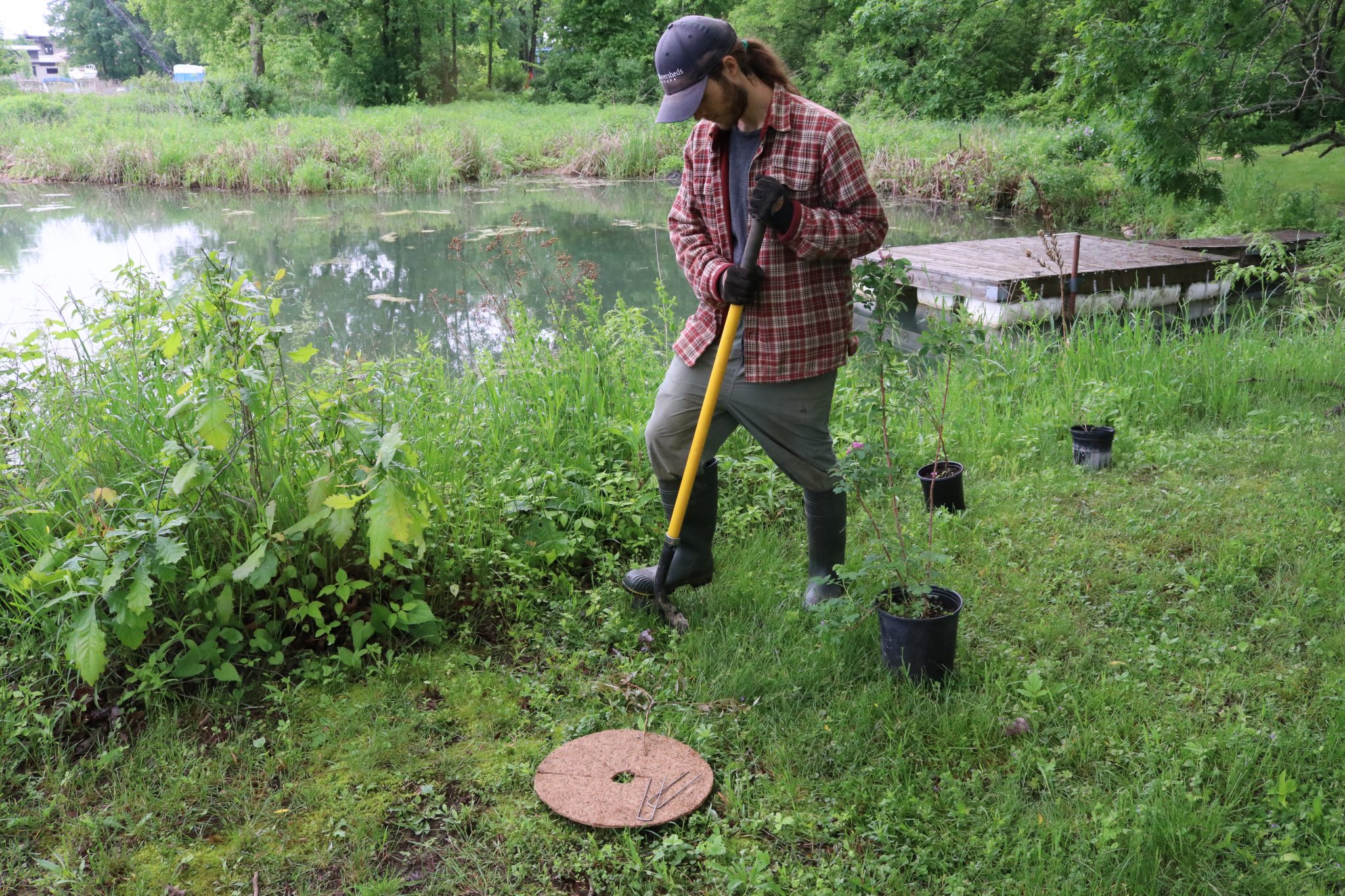 How Native Plants Help with Erosion Control Watersheds Canada Work