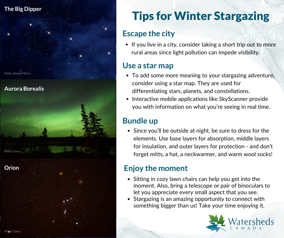 10 Days of Winter Activities with Your Family! - Watersheds Canada ...